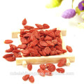 Precio favorable Secado Goji Berry Super Berries Goji